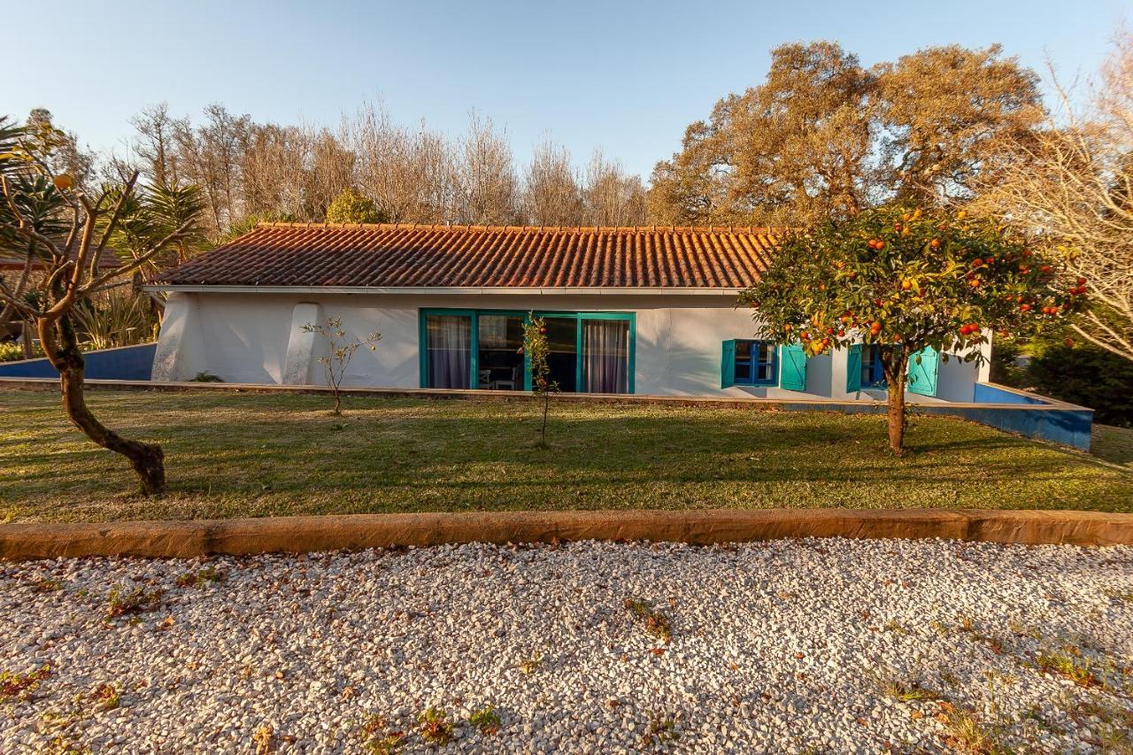Vale Da Silva Villas - Homes Albergaria-a-Velha Exterior photo